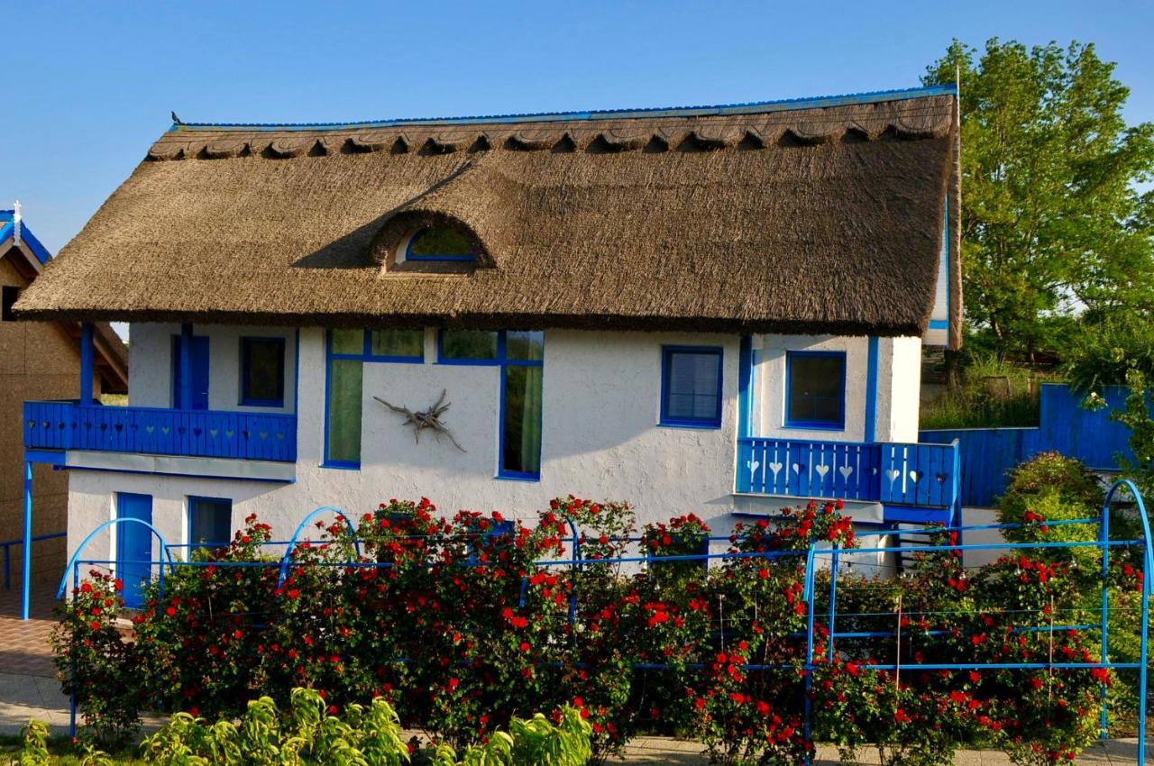 Nena Art Resort Dunavăţu de Jos 外观 照片