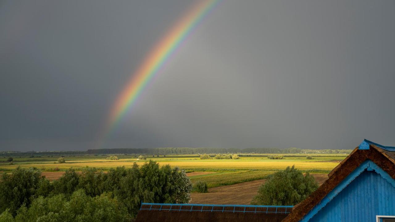 Nena Art Resort Dunavăţu de Jos 外观 照片