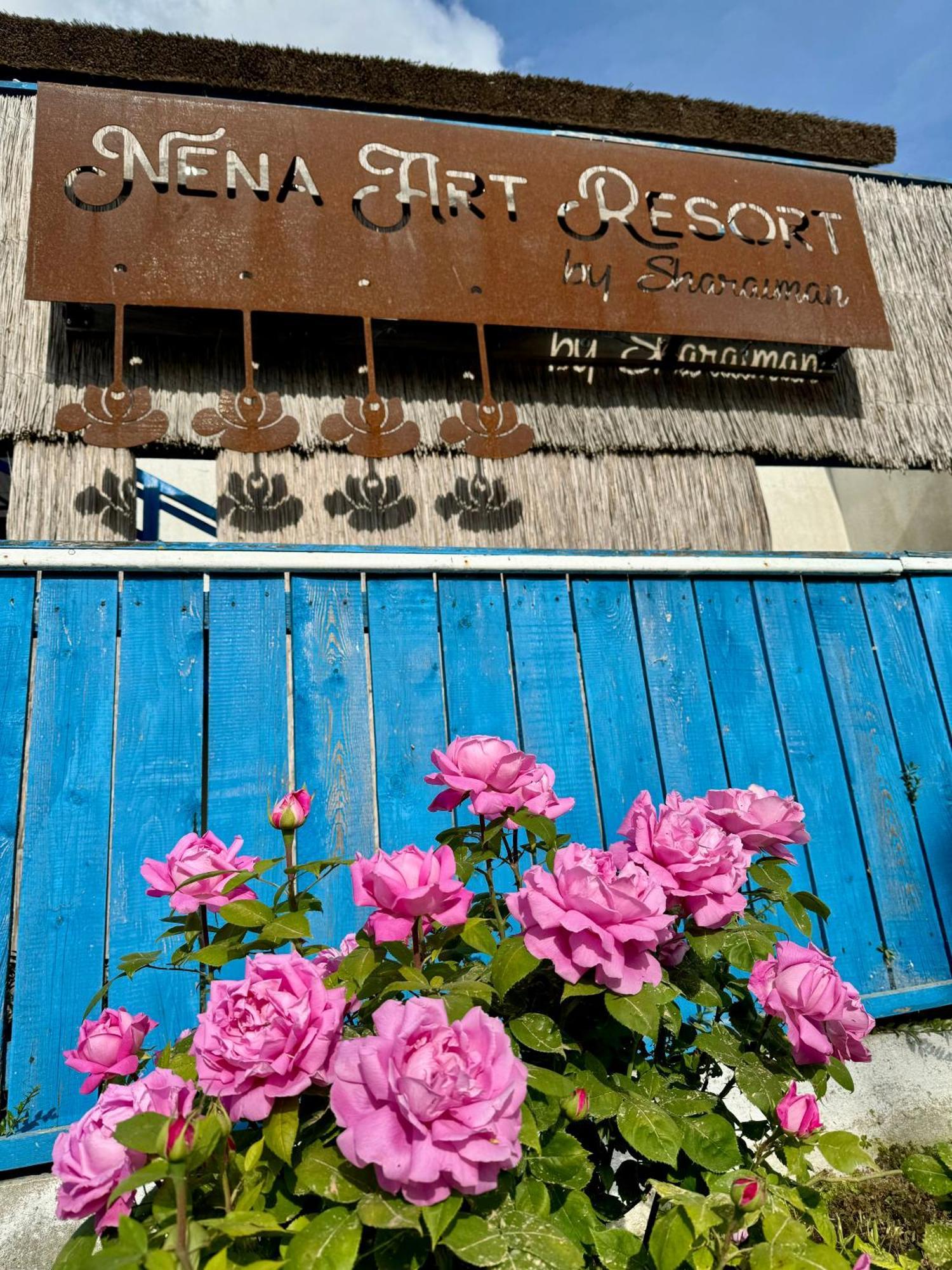 Nena Art Resort Dunavăţu de Jos 外观 照片