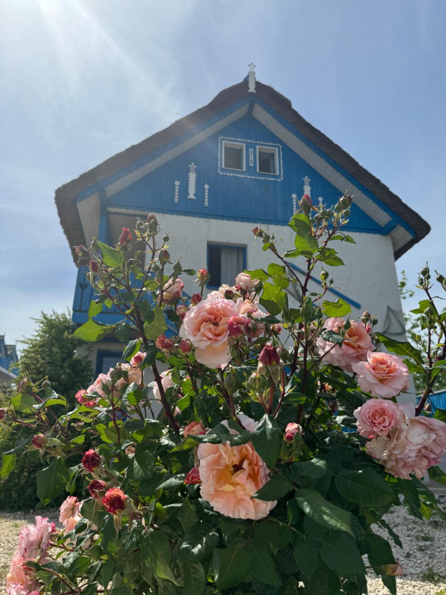 Nena Art Resort Dunavăţu de Jos 外观 照片
