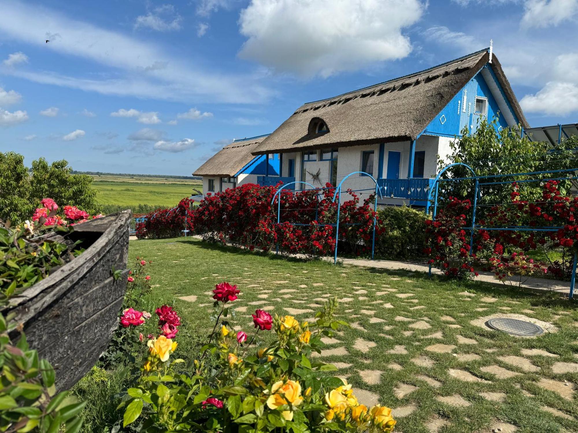 Nena Art Resort Dunavăţu de Jos 外观 照片