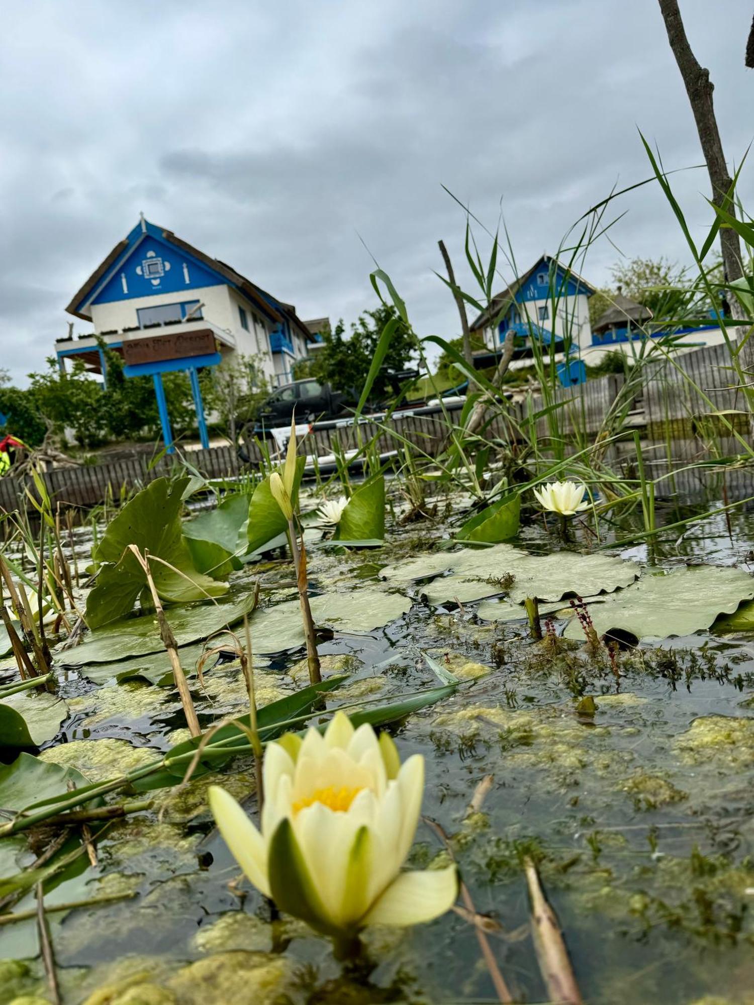 Nena Art Resort Dunavăţu de Jos 外观 照片
